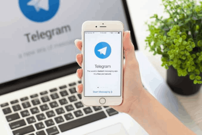 Как узнать message id telegram